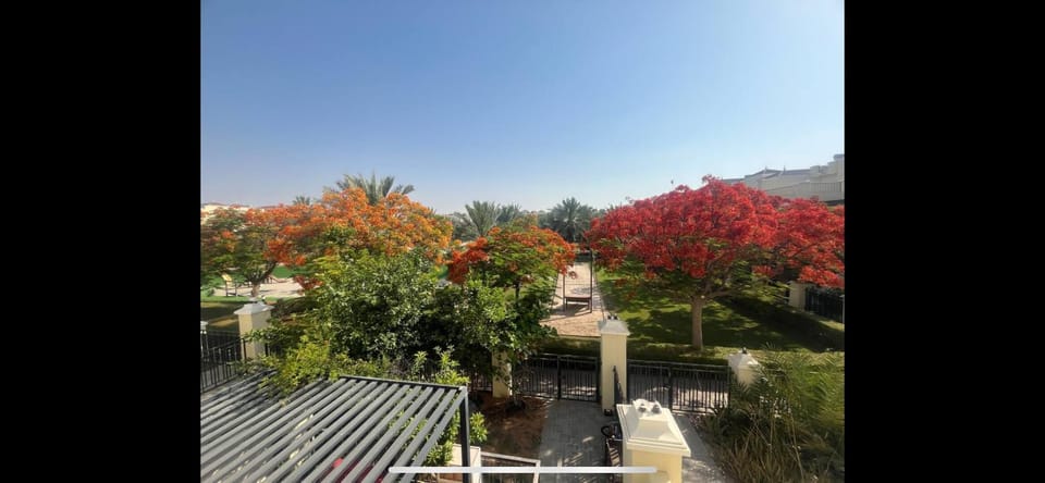 View (from property/room)