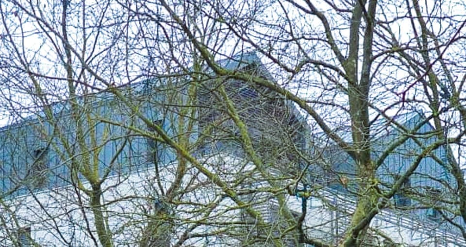 Natural landscape