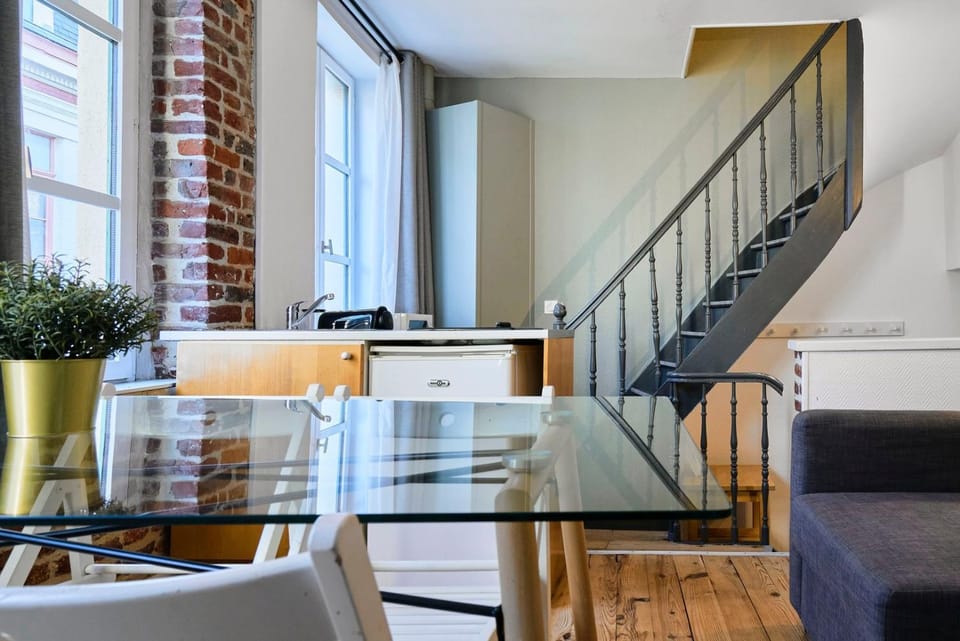 Grand-place & Vieux-Lille: Equipped duplex Apartment in Lille