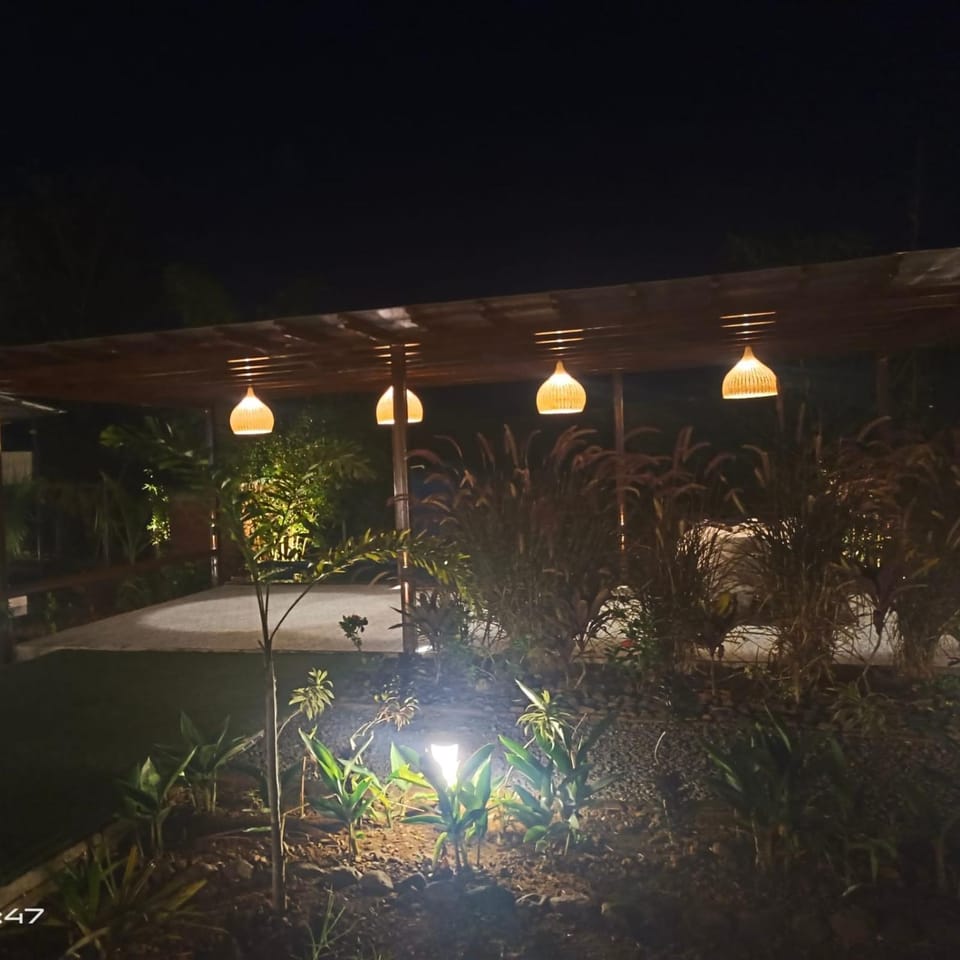 Night, Garden, Garden view