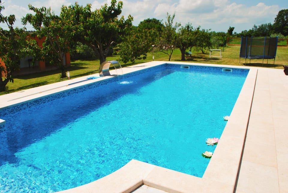 Activities, Summer, Children play ground, Garden, Table tennis, Swimming pool, Swimming pool, Family
