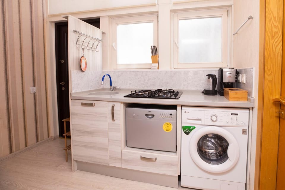 Coffee/tea facilities, dishwasher, washing machine, kitchen, kitchen