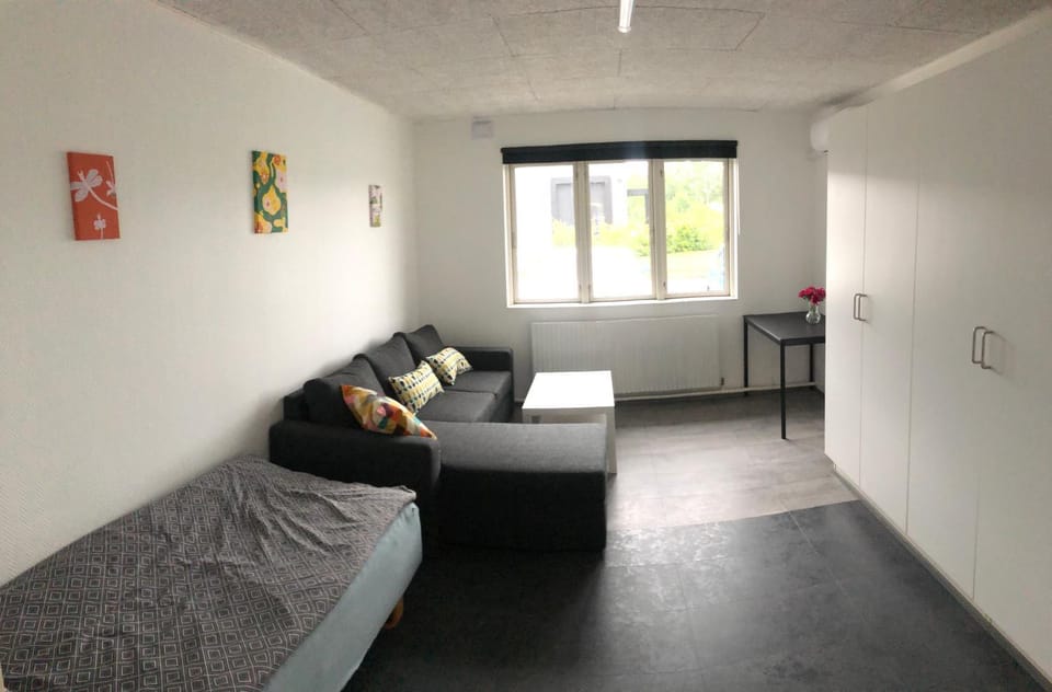 2 soveværelse apartament Apartment in Zealand