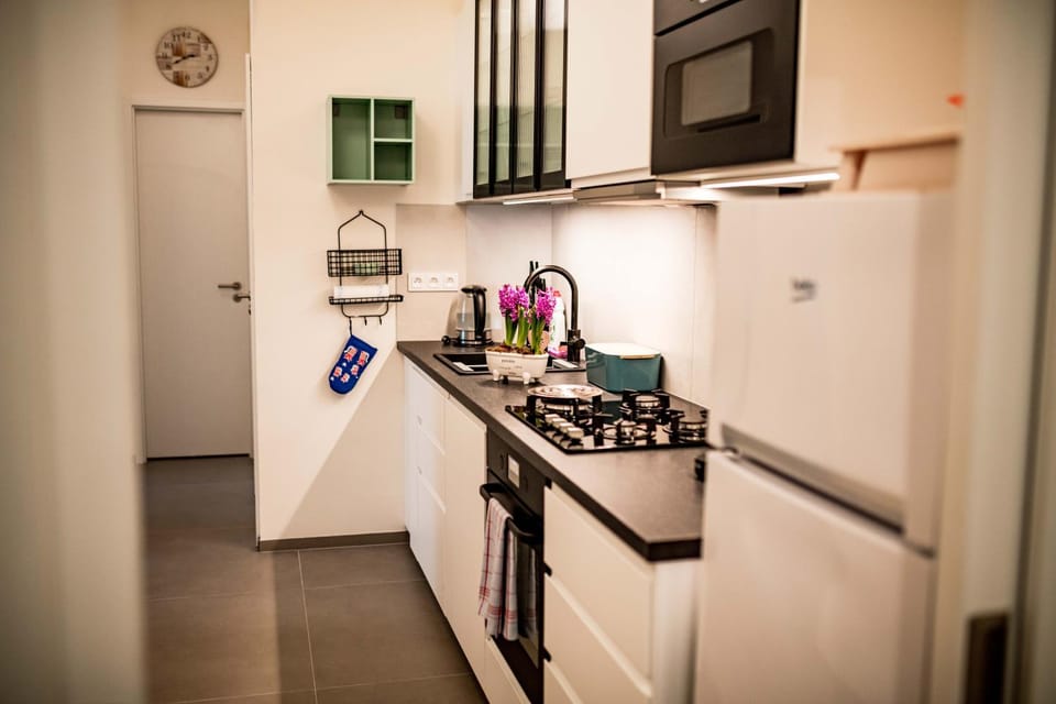 Fritscher Apartments, s.r.o. Apartment in Prague