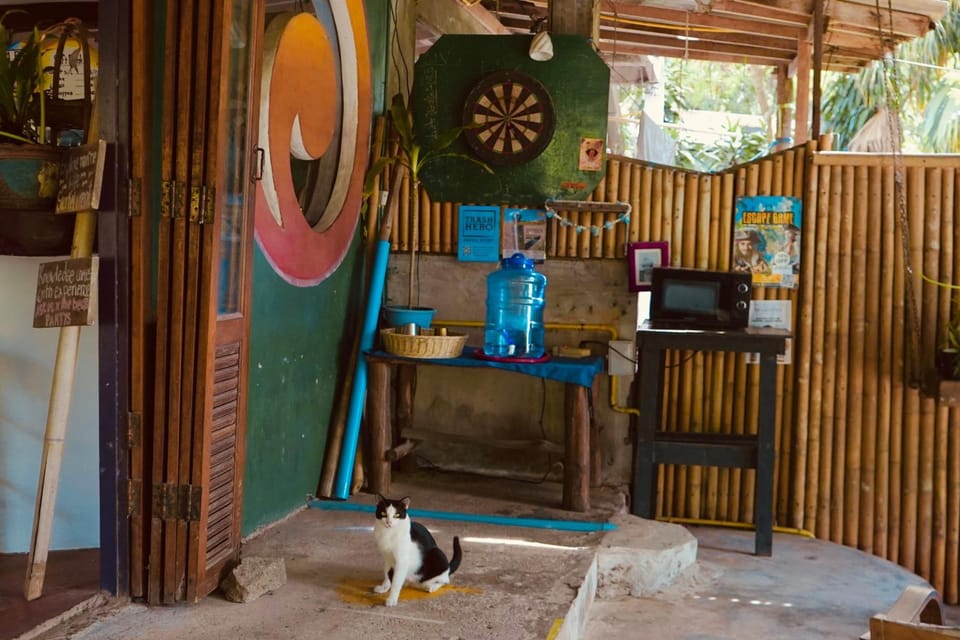 Property building, Darts