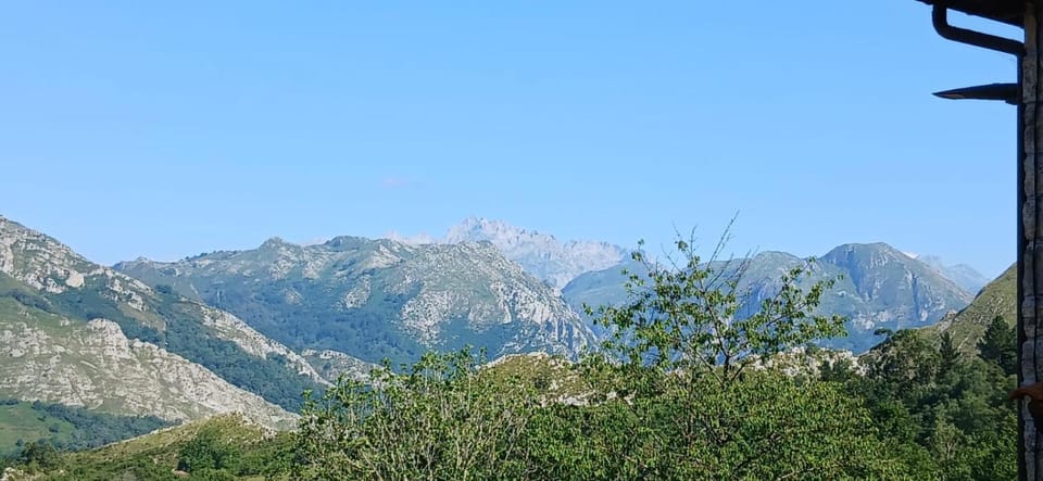 Mountain view