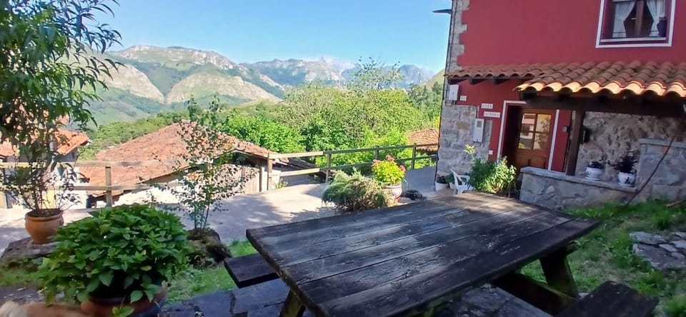 Mountain view