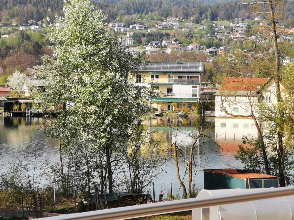 View (from property/room)