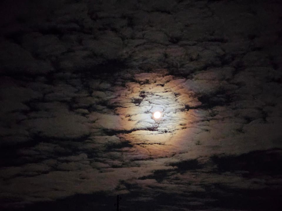 Night