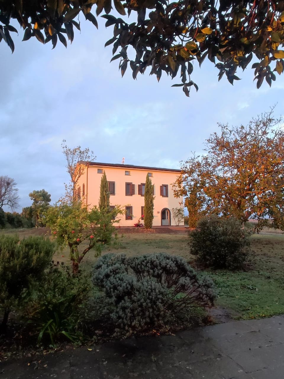 Property building, Natural landscape, Garden, Garden view