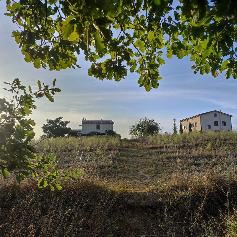 Property building, Day, Natural landscape, Garden