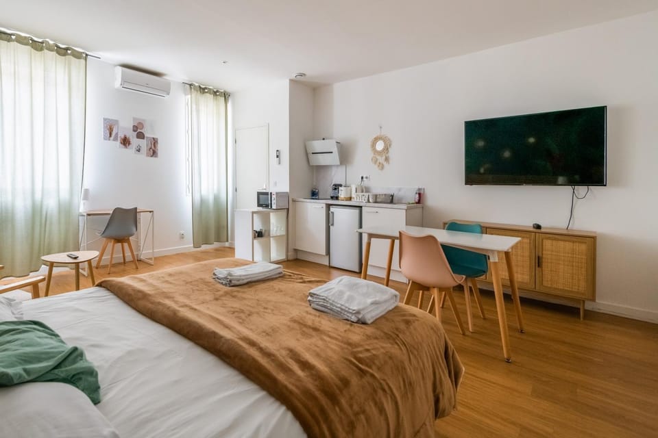 le Jungle: Grand studio rénové, Climatisé, proche de la Gare Apartment in Bordeaux