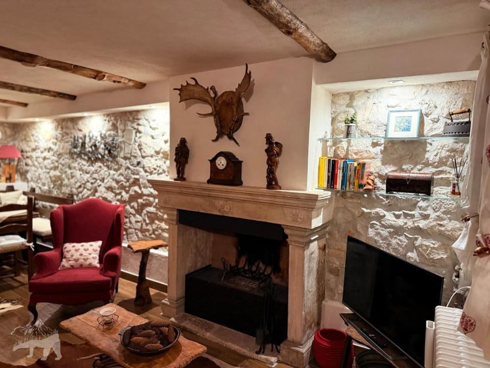 Lounge or bar, fireplace