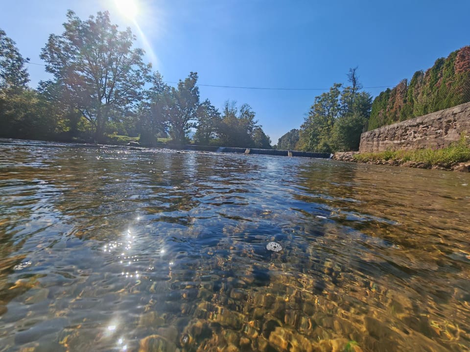 Natural landscape, River view