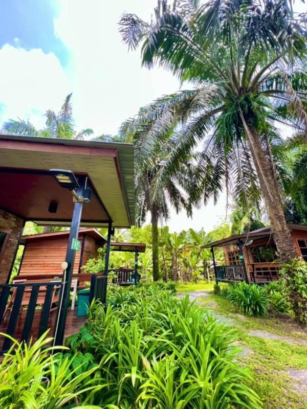 Property building, Garden, Garden view