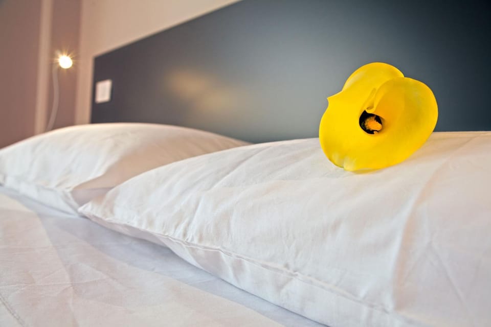 Il Fiore in una Stanza Bed and Breakfast in Lazio
