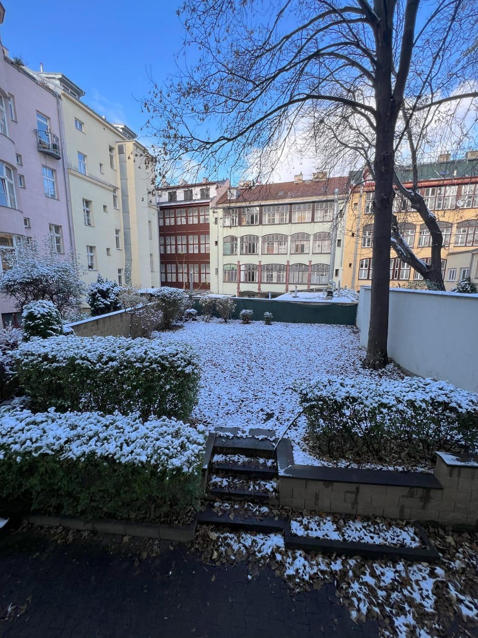 Garden, Garden, Garden view, Garden view