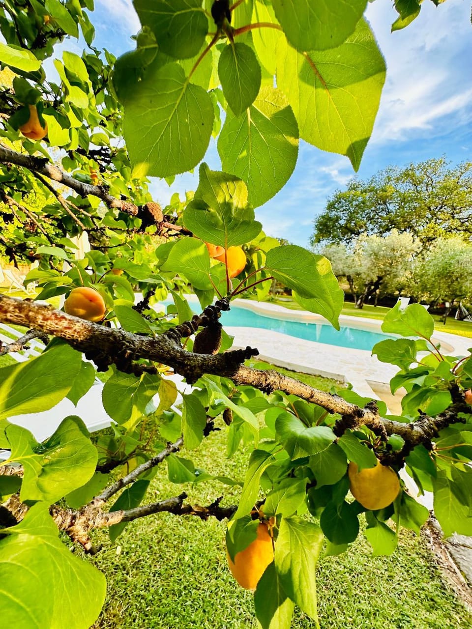 Agriturismo Podere Valdo Apartment in Tuscany