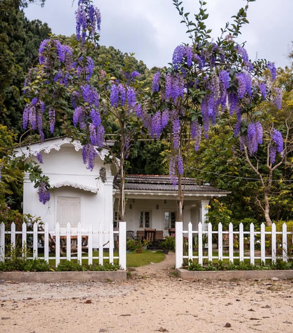 Hill House Haldummulla Hotel in Central Province