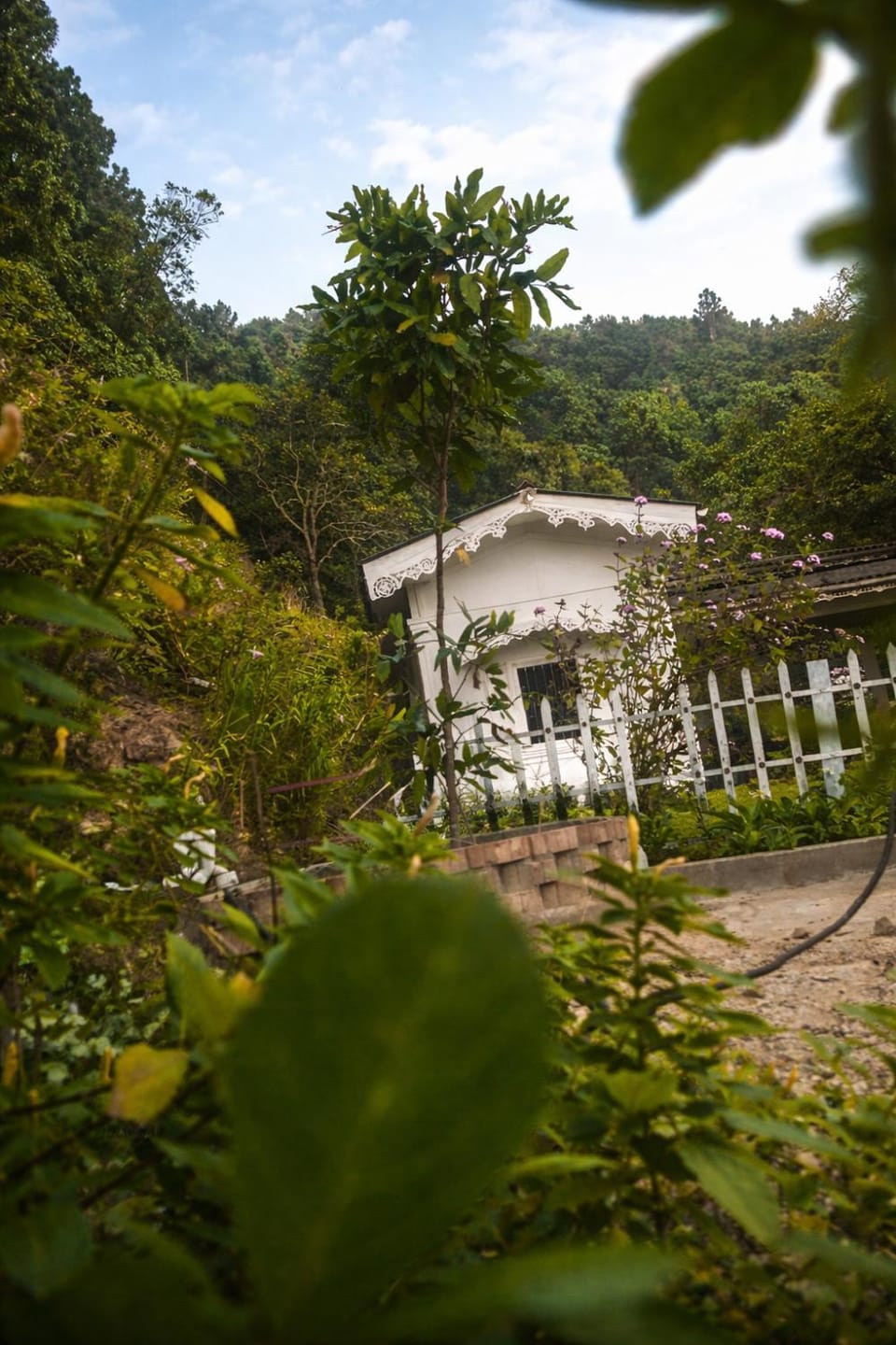Hill House Haldummulla Hotel in Central Province