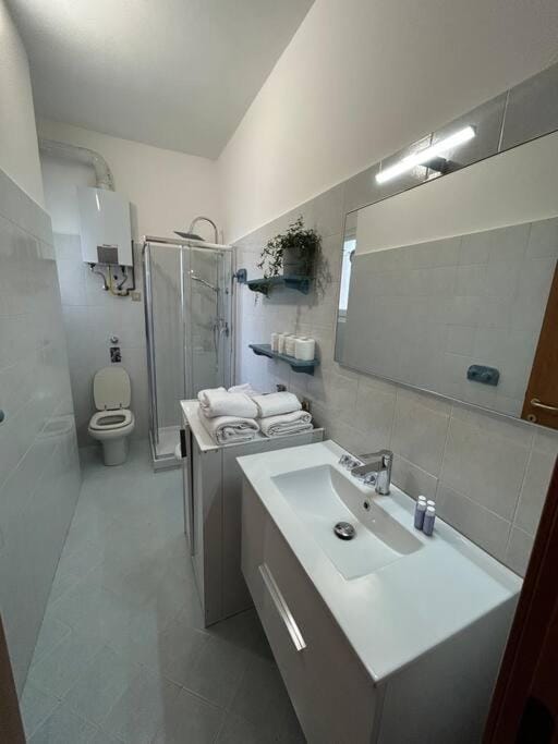 Shower, Toilet, Bathroom, towels