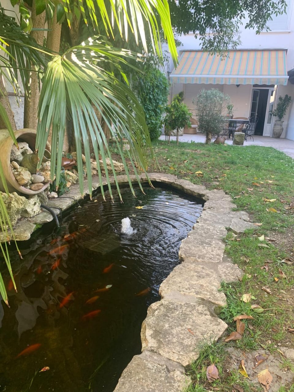 Garden