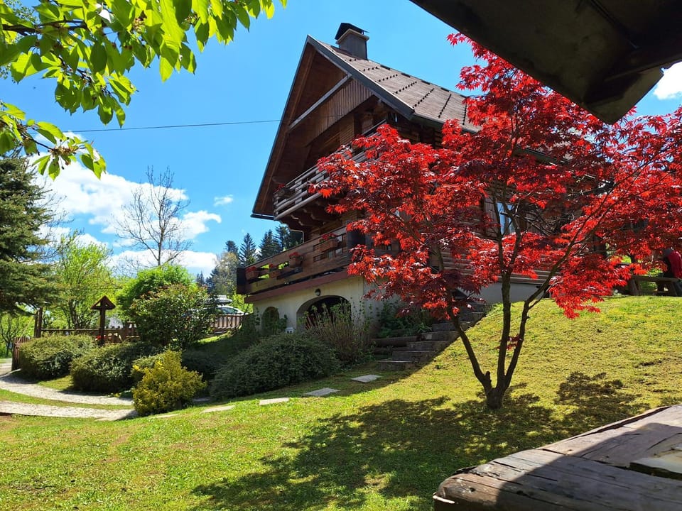 Property building, Spring, Day, Garden