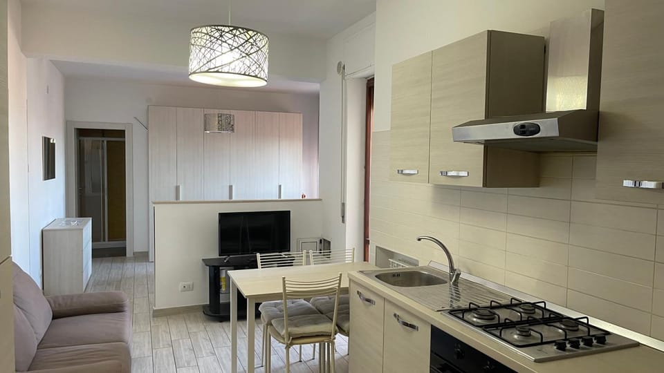 TV and multimedia, Kitchen or kitchenette, Living room, Seating area, Dining area, minibar, pet friendly, stove