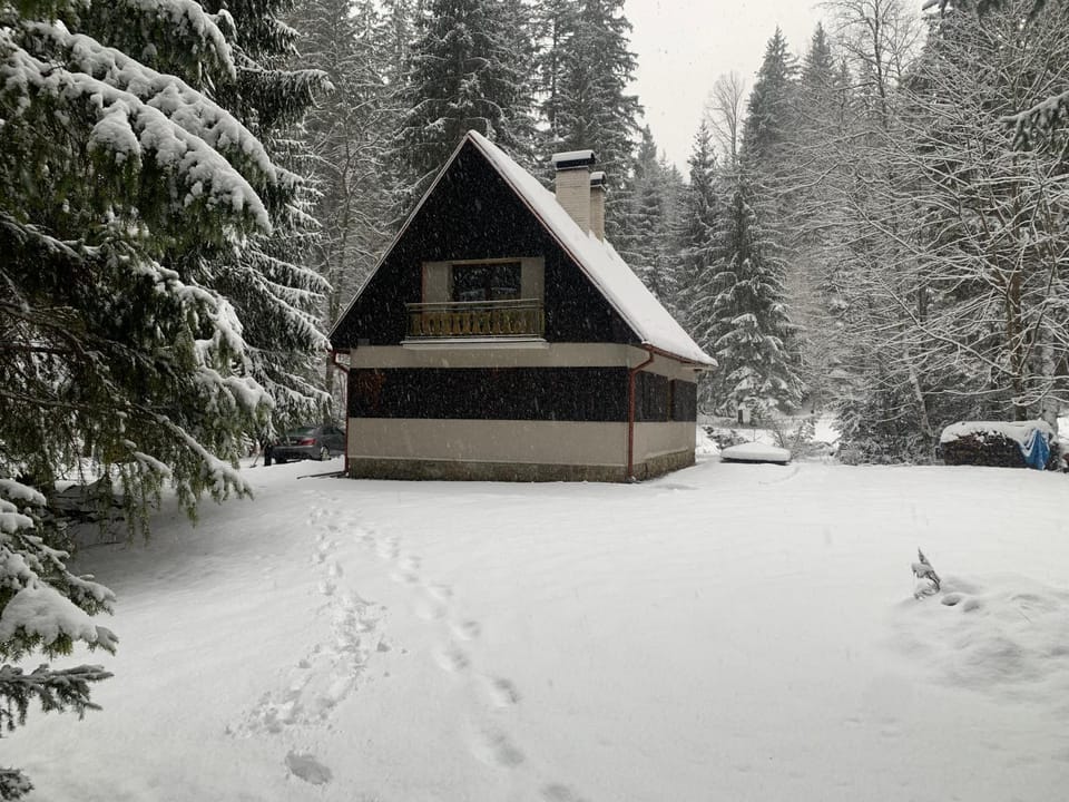 Property building, Natural landscape, Winter
