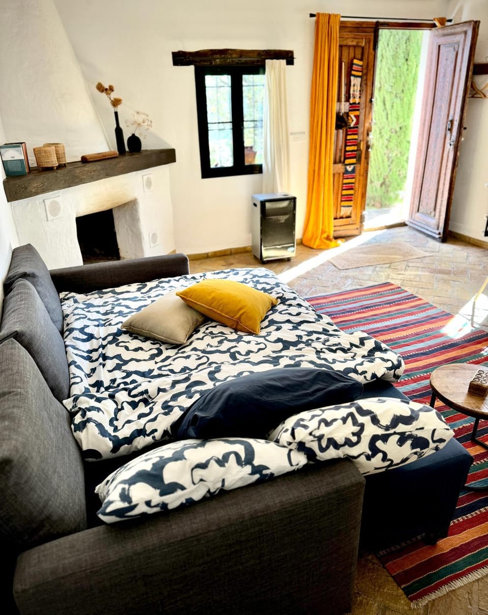 Bed, Living room