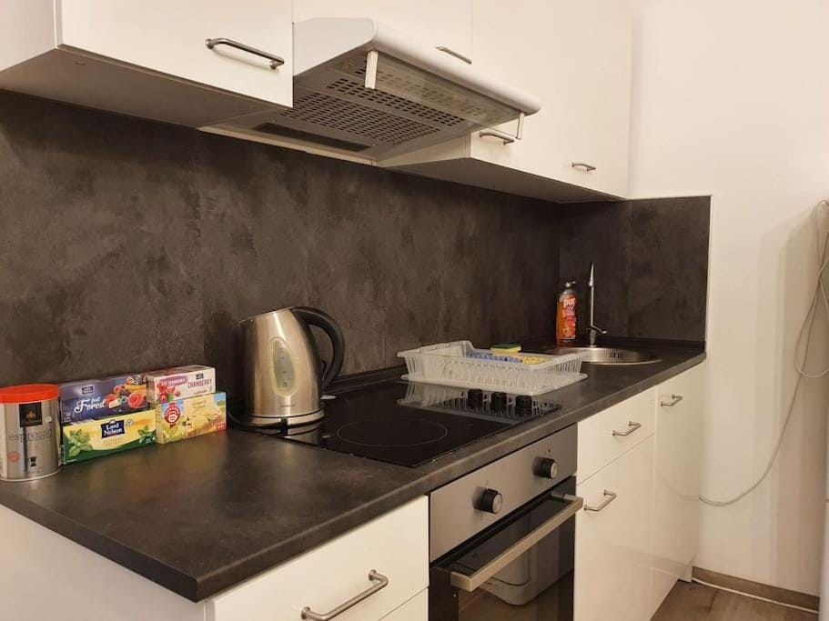 Stylish & quiet apt next to Presidential palace Apartment in Bratislava