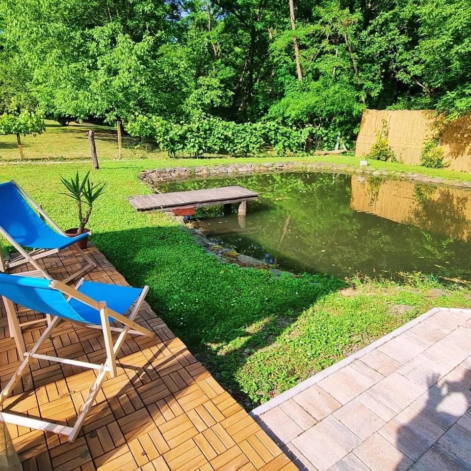 Day, Natural landscape, Garden, sunbed