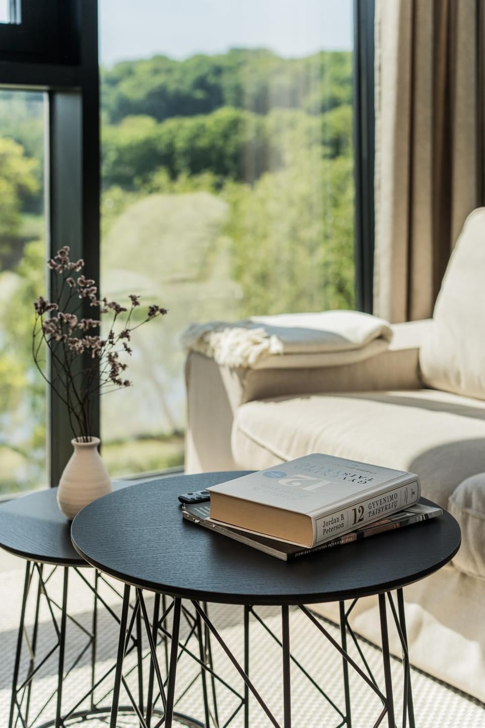 View (from property/room), Living room, Seating area, Dining area