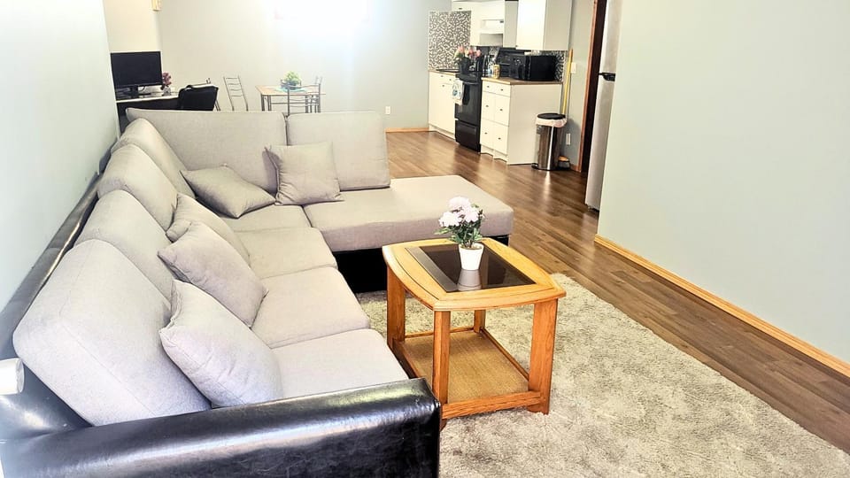 Kitchen or kitchenette, Living room, Seating area, Dining area, oven, stove