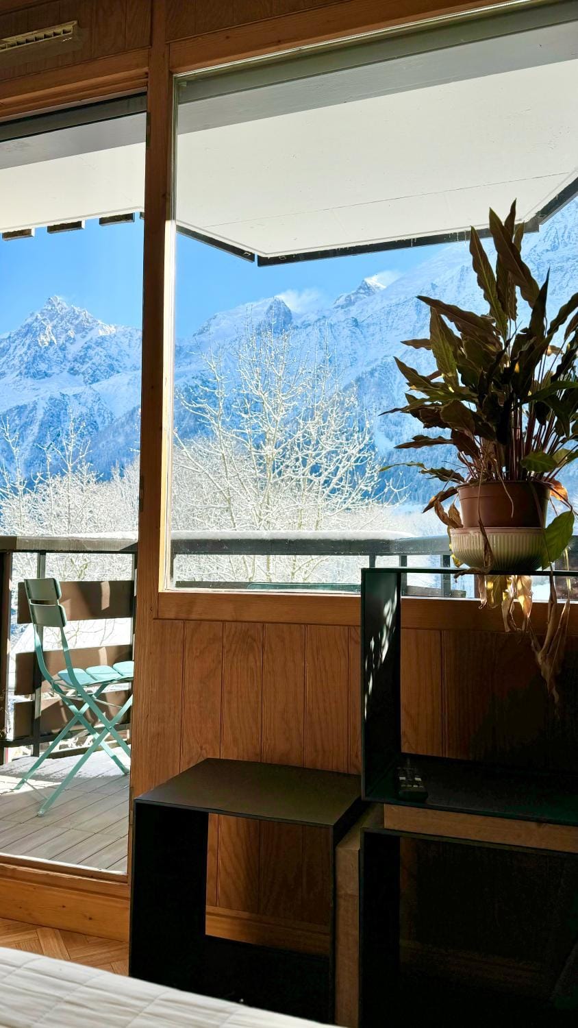 Apartement vue Monblanc incroyable ski inout Prarion5 Apartment in Les Houches