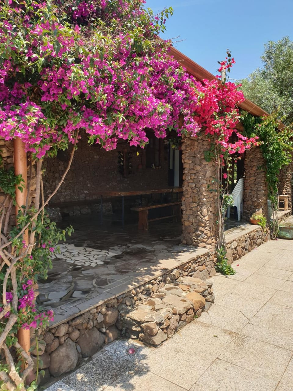 Azienda agricola Affittacamere S'Ispinalba di Laura Pitzolu Bed and Breakfast in Sardinia