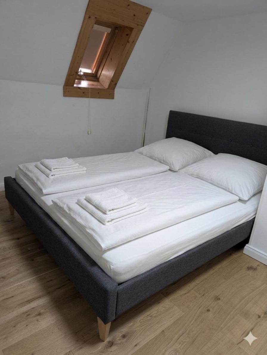 Haus (1. Etage+DG) mit Garten Apartment in Halle Saale