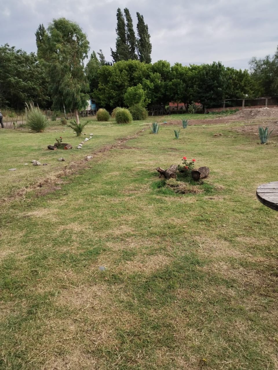 Garden view