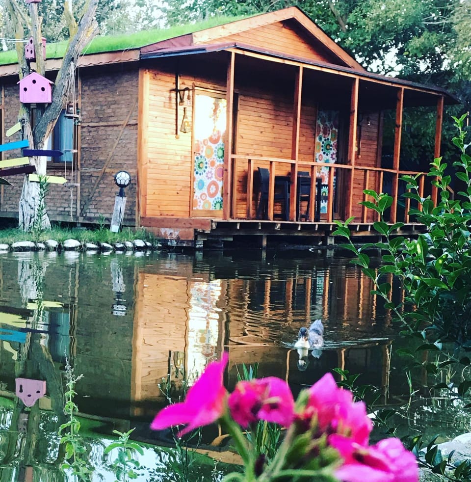 Lake view