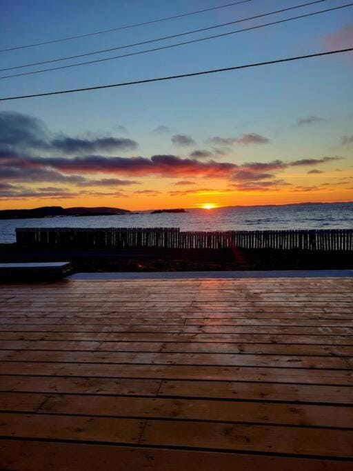 2 Bedroom 2 Bathroom Oceanfront Oasis House in Bonavista