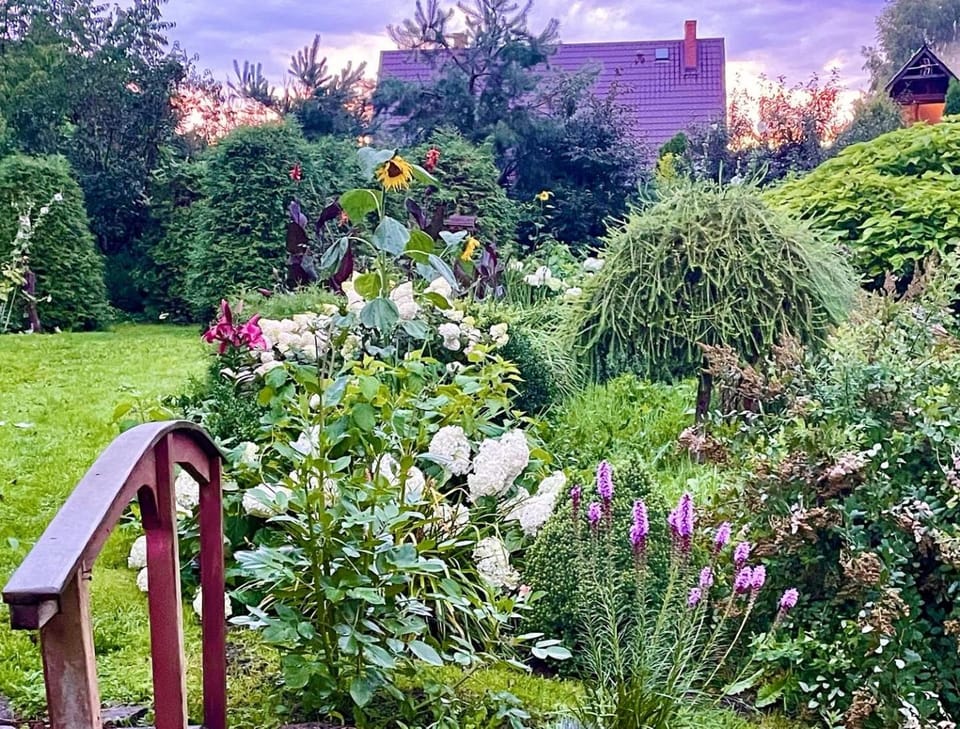 Chata pod strzechą -Bory Tucholskie Farm Stay in Poland