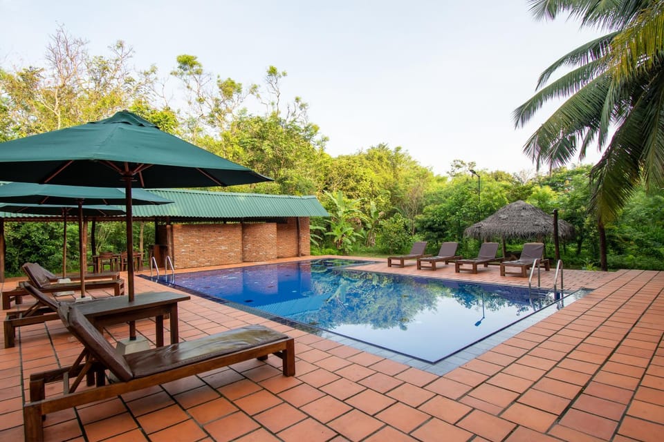 Day, Pool view, Swimming pool, Swimming pool, sunbed