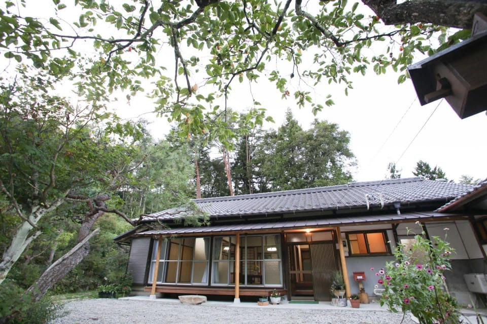Property building, Garden view