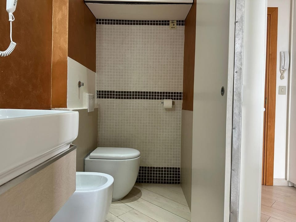 Toilet, Bathroom, bidet