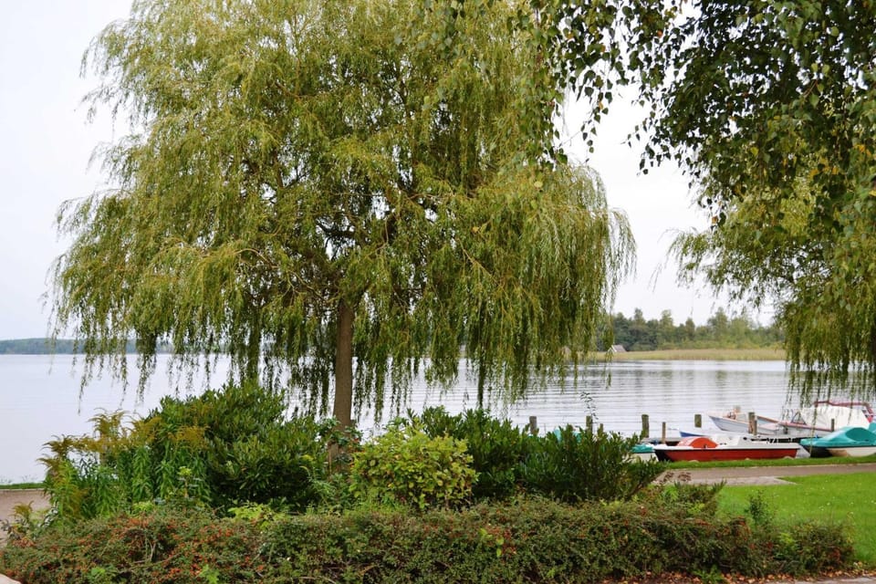 Ferienwohnung mit Terrasse und in Seenähe Apartment in Mecklenburg-Vorpommern, Germany