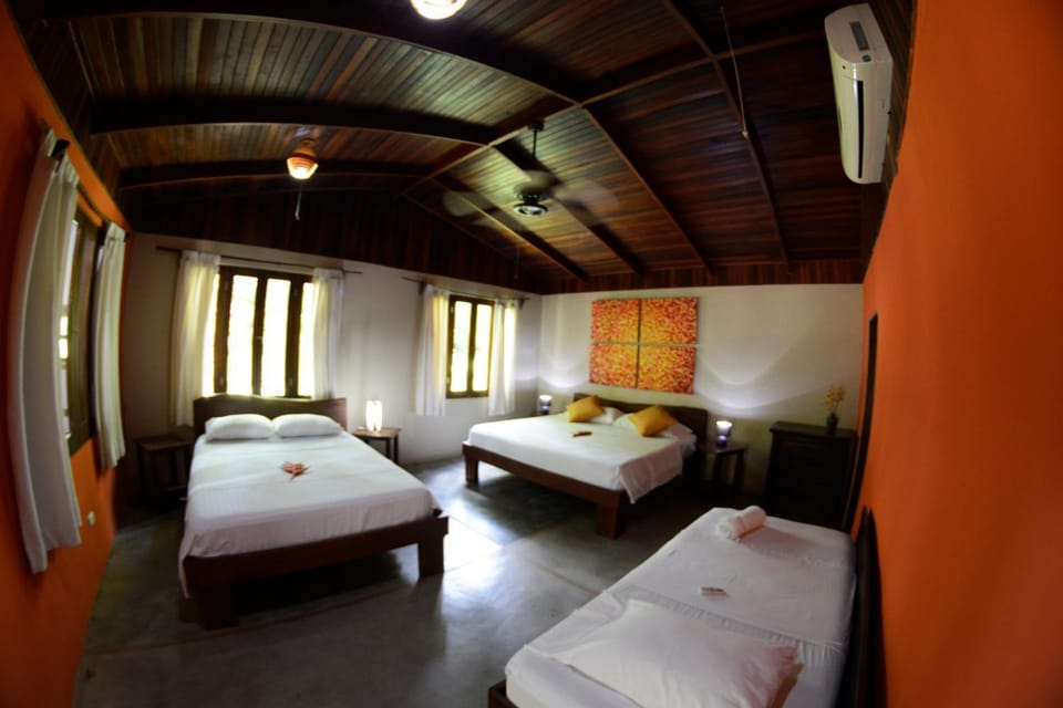 Day, Photo of the whole room