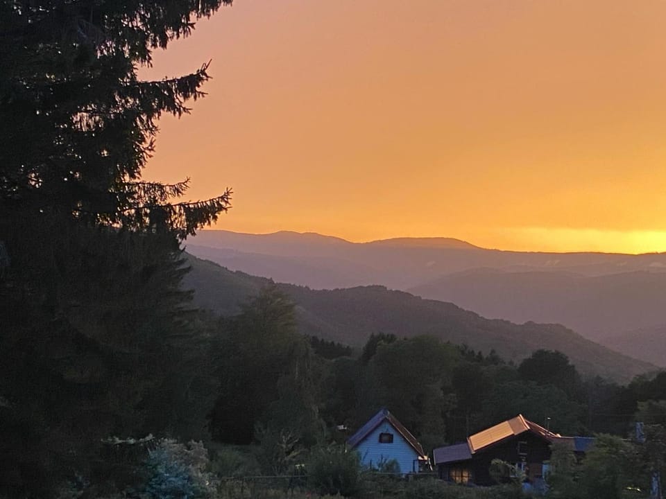 Natur’Lovers - Chalet d’exception - Jacuzzi et hammam en pleine nature Chalet in Grand Est