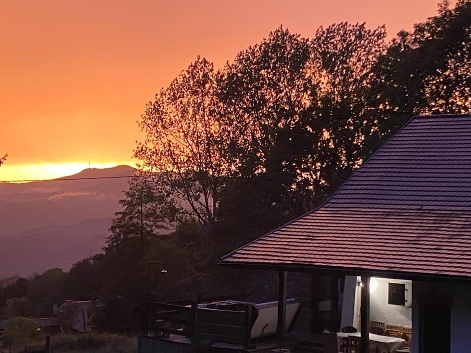 Natur’Lovers - Chalet d’exception - Jacuzzi et hammam en pleine nature Chalet in Grand Est