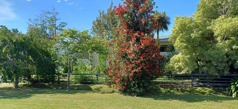 Natural landscape