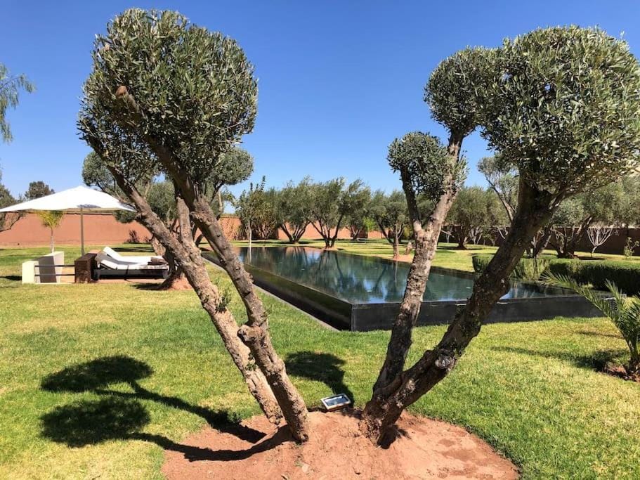 Villa privée dans un environnement idyllique Villa in Marrakesh-Safi